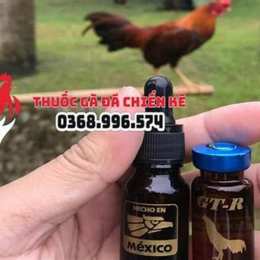 thuoc ga da hcm
