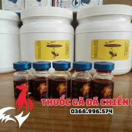 thuốc gà đá lampam