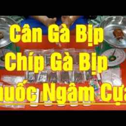 thuốc ngâm cựa gà đá