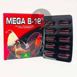 thuốc nuôi gà đá b12