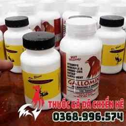thuốc tây kích thích cho gà đá