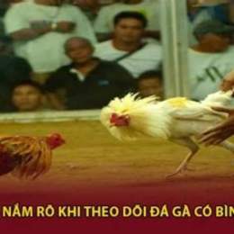 tiếp đá gà bình luận viên