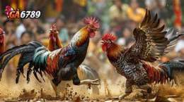 tính năng nổi bật 6789 đá gà