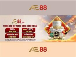 tính năng nổi bật ae88 đá gà auction