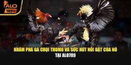 tính năng nổi bật alo789 đá gà thomo