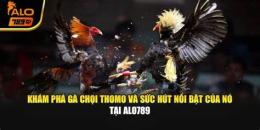 tính năng nổi bật alo789 đá gà trực tiếp thomo