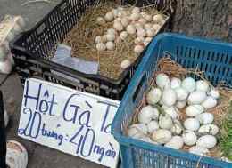 tính năng nổi bật bán trứng gà đá