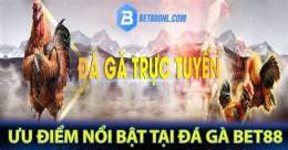 tính năng nổi bật bet88 đá gà
