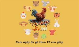tính năng nổi bật bí kíp xem ngày đá gà của sắt