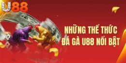tính năng nổi bật bi888 đá gà
