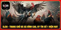 tính năng nổi bật bj388 đá gà trực tiếp
