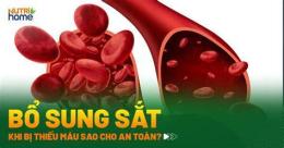 tính năng nổi bật bổ sung sắt cho gà đá