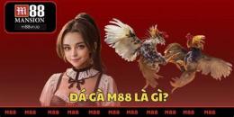 tính năng nổi bật cá cược đá gà m88