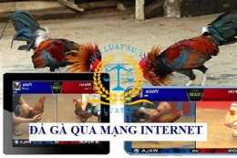 tính năng nổi bật ca cuoc da ga online
