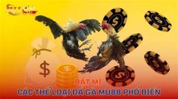 tính năng nổi bật các loại màu gà đá