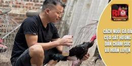 tính năng nổi bật cách chăm sóc gà đá cựa sắt 7789bet.top