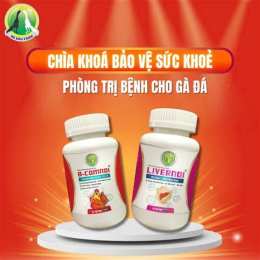 tính năng nổi bật cách khoá gen gà đá