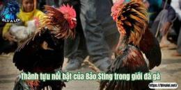 tính năng nổi bật cách trị gà đá người