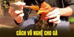 tính năng nổi bật cách vô nghệ cho gà đá