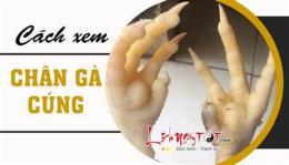 tính năng nổi bật cách xem chân gà đá