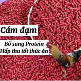 tính năng nổi bật cám gà đá