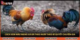 tính năng nổi bật cap ga da theo ngay am