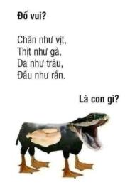 tính năng nổi bật chân như vịt thịt như gà da như trâu