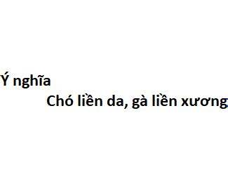 tính năng nổi bật chó liền da gà liền xương nghĩa là gì