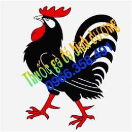 tính năng nổi bật chợ tốt gà đá bình dương