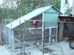 tính năng nổi bật chuồng gà đá