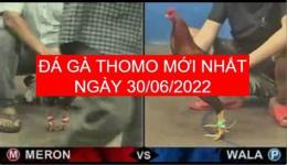 tính năng nổi bật clip đá gà
