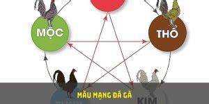 tính năng nổi bật coi mạng đá gà