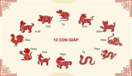 tính năng nổi bật coi ngày đá gà 12 con giáp