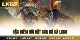tính năng nổi bật coi ngày gà đá