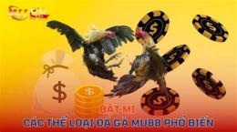 tính năng nổi bật coi phim đá gà