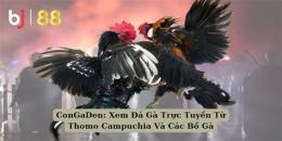 tính năng nổi bật congaden đa ga