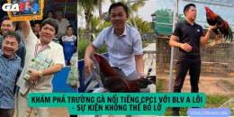 tính năng nổi bật cpc1 đá gà
