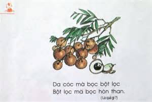 tính năng nổi bật da cóc mà bọc bột lọc bột lọc mà bọc trứng gà