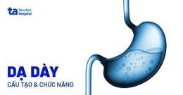 tính năng nổi bật dạ dày gà