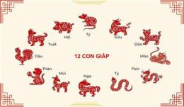 tính năng nổi bật đá gà 12 con giáp