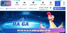 tính năng nổi bật đá gà 168 tv