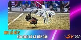 tính năng nổi bật đá gà 28 tv