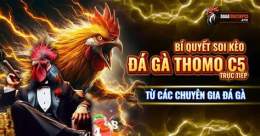tính năng nổi bật đá gà 67 c5