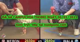 tính năng nổi bật đá gà 67 casino