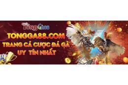 tính năng nổi bật đá gà 88 bình luận viên