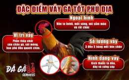 tính năng nổi bật đá gà 88 services