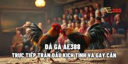 tính năng nổi bật đá gà ae388