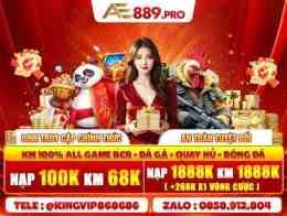 tính năng nổi bật đa ga ae88