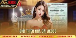 tính năng nổi bật đã gà ae888