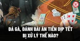 tính năng nổi bật đá gà ăn tiền xử phạt thế nào